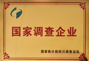国家调查企业